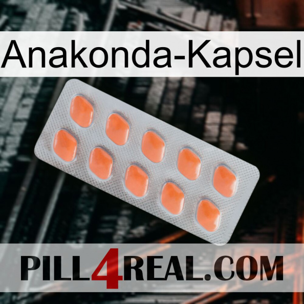 Anaconda Capsule 26